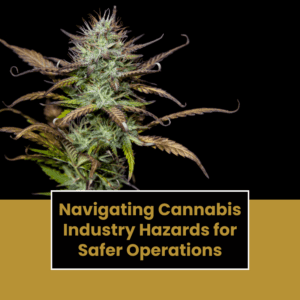 Navigating Cannabis Industry Hazards for Safer Operations