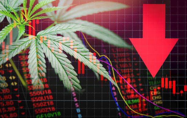 Business marijuana leaves cannabis Stock crisis red market price arrow down chart fall graph money losing moving down