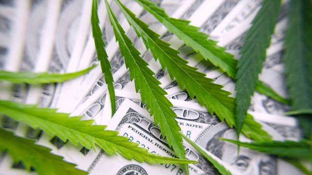 Green cannabis leaves, marijuana on the background of hundred US dollars money. Hemp, ganja leaf. Business concept, marijuana drug sales, revenue and profits in growing medical cannabis. CBD product