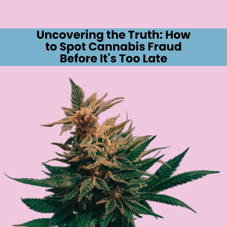 Uncovering the Truth How to Spot Cannabis Fraud Before It's Too Late