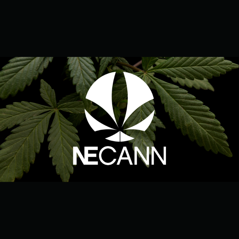 NECANN