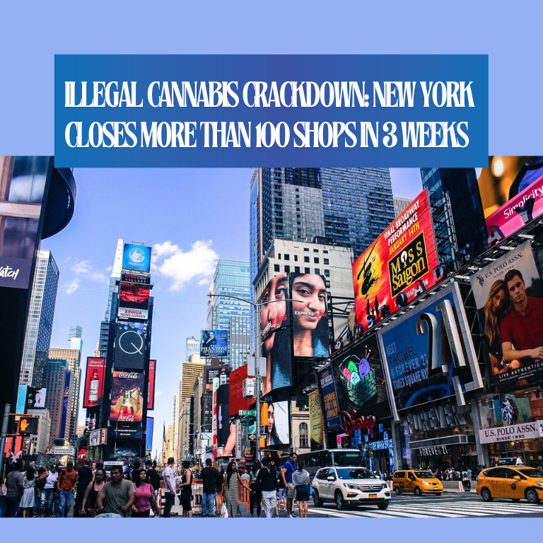 Illegal Cannabis Crackdown New York Closes More Than 100 Shops in 3 Weeks