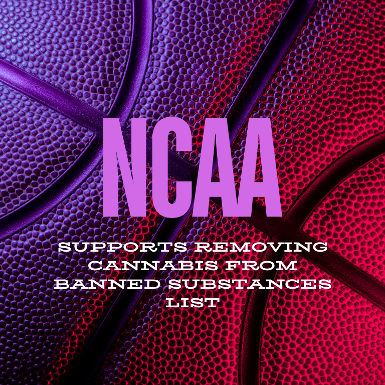 NCAA Supports Removing Cannabis from Banned Substances List Cannabis