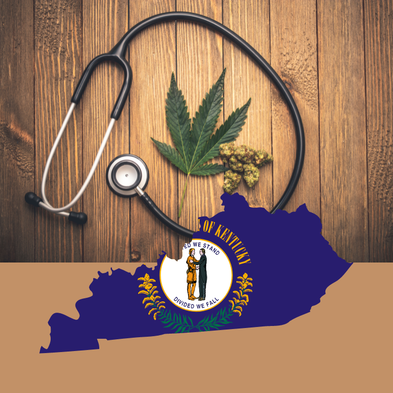 Medical Cannabis Business License