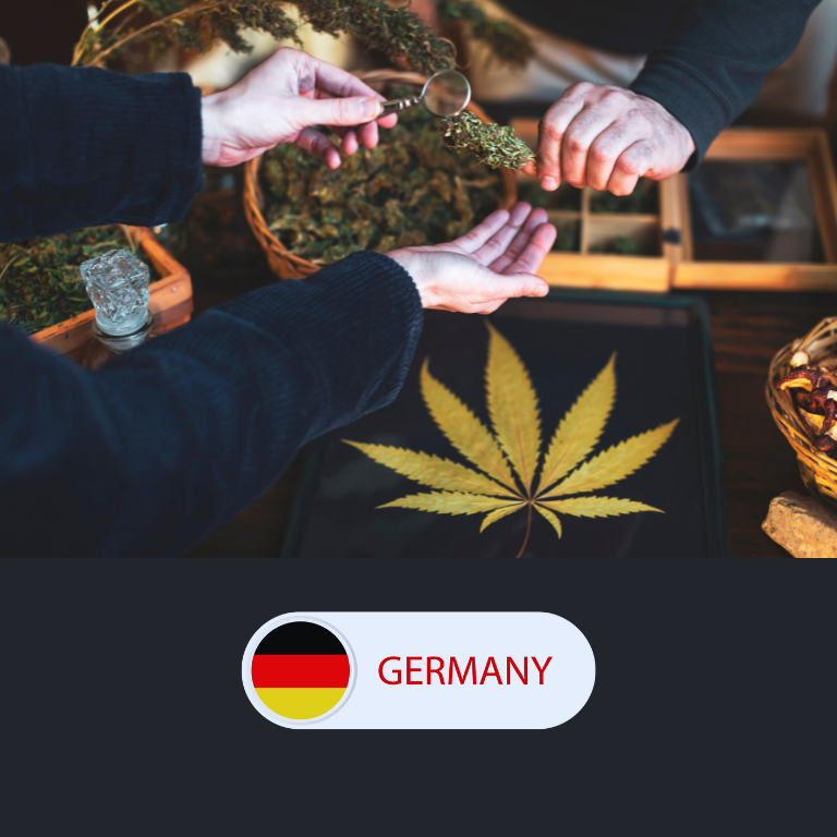 Germany's Growing Cannabis Market Faces Overproduction