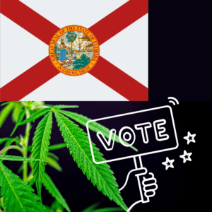 Legalize Cannabis? Florida Voters to Decide on Amendment 3