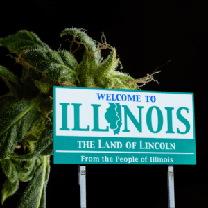 Governor Reports Illinois Cannabis Sales Hit $1 Billion in 2024