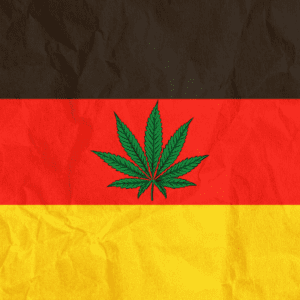 Germany Greenlights First Cannabis Social Cultivation Club