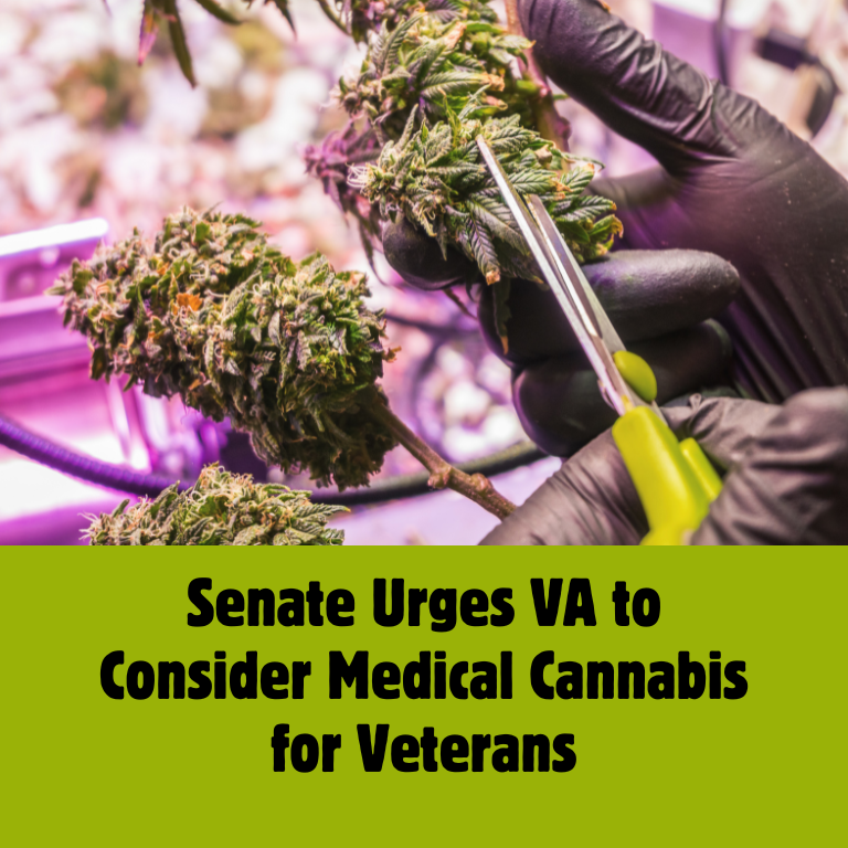 Committee Pushes VA to Explore Cannabis as Opioid Alternative