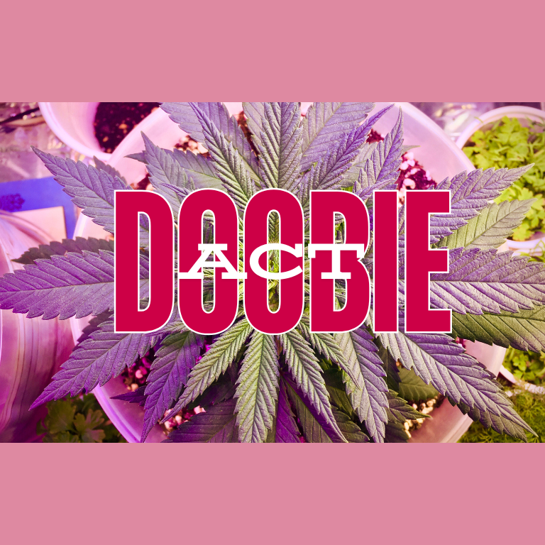 The DOOBIE Act: Potential Shift in Federal Hiring Practices