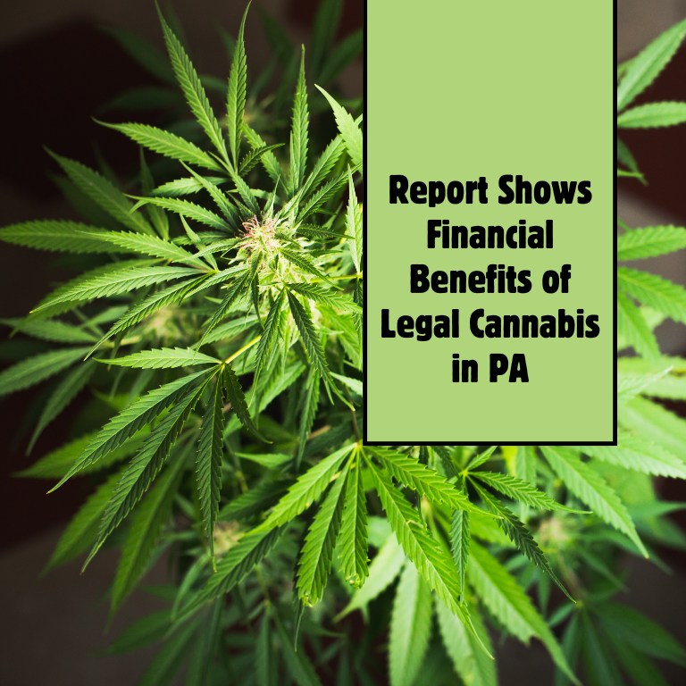 Pennsylvania's Financial Gains from Legal Cannabis: New Report