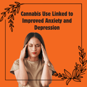 Study Finds Immediate Anxiety and Depression Relief from Cannabis Use