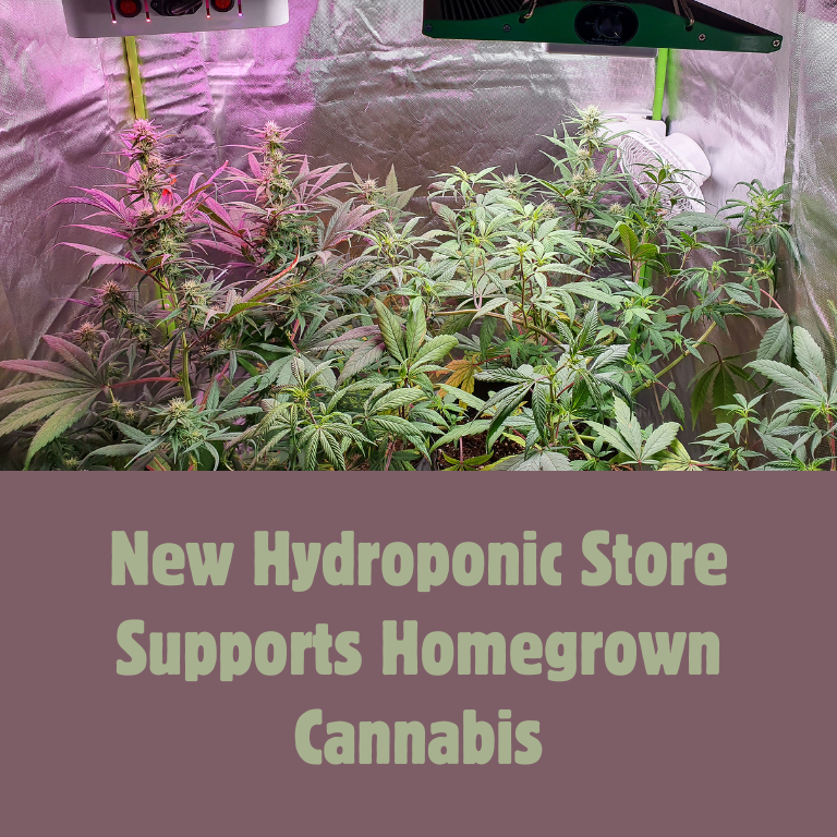 New Hydroponic Store Supports Homegrown Cannabis