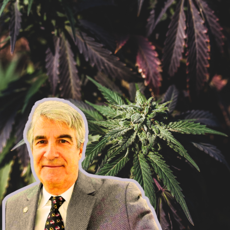 Don Murphy Urges Cannabis Industry to Engage at Political Events