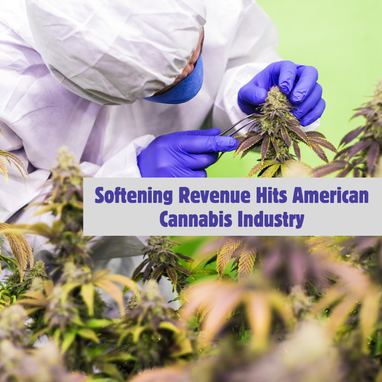 Softening Revenue Hits American Cannabis Industry