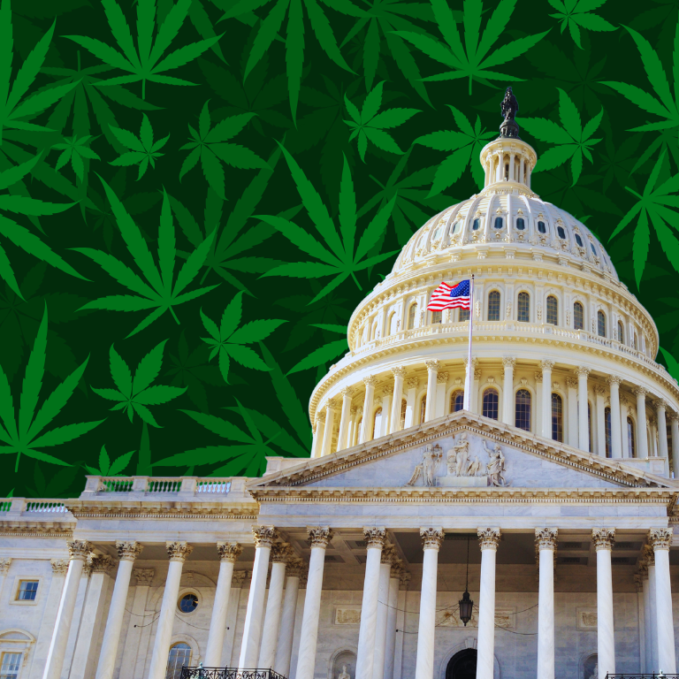 Senator Peters’ DOOBIE Act for Cannabis Employment Reform