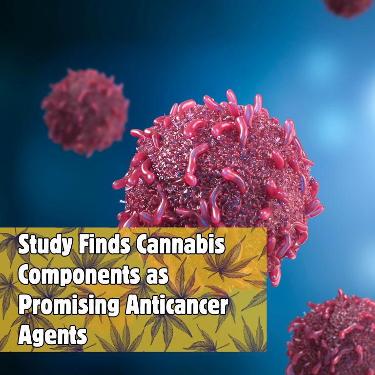 Study Finds Cannabis Components as Promising Anticancer Agents