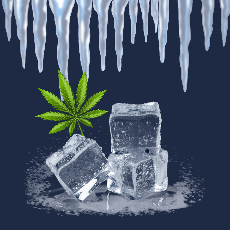 Unlocking Fresh Frozen Cannabis Potential for NY Growers