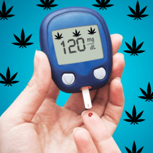 Exploring the Link: Can Cannabis Use Lower Diabetes Risk?