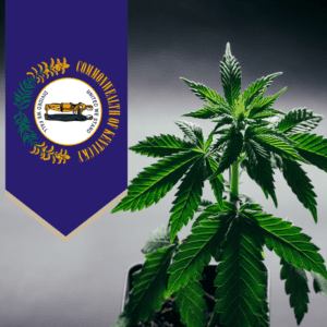 Kentucky Gov. Beshear Promotes Cannabis Efforts with VP Harris