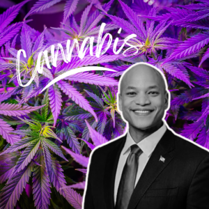 Maryland Governor, NAACP President Advocate Cannabis Pardons
