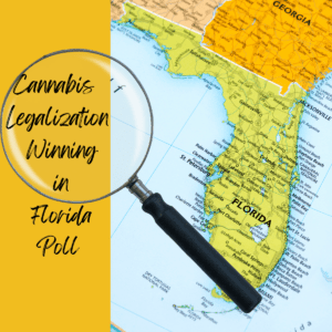 Florida Poll Reveals Strong Backing for Cannabis Legalization