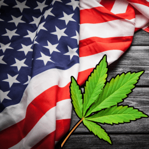 Social Workers Urge Biden to Fully Decriminalize Cannabis