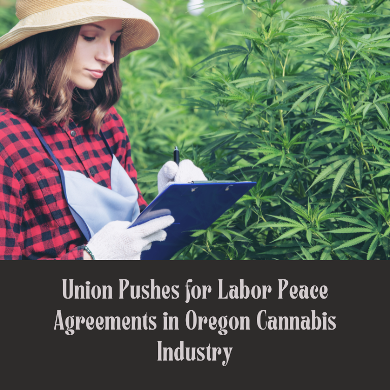 Union Advocates for Labor Peace in Oregon Cannabis Industry