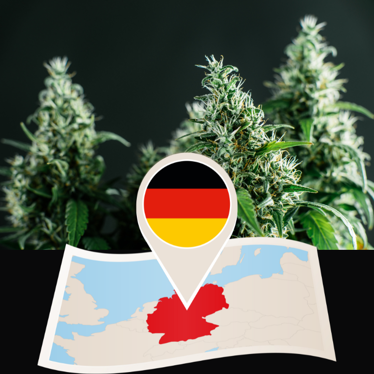 Germany Approves First Cannabis Social Club Post-Legalization