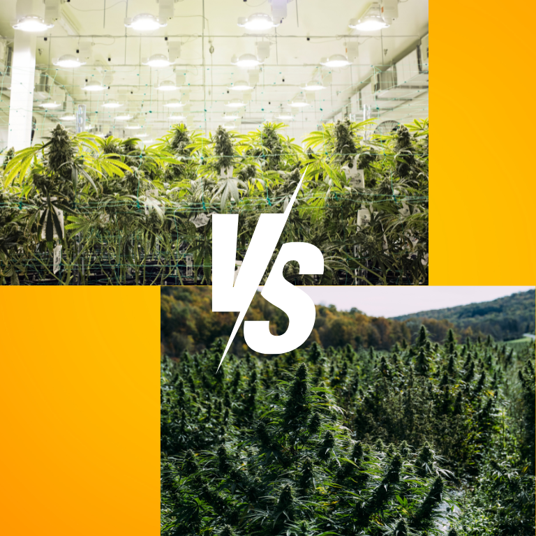 Cannabis Growing: The Pros & Cons of Indoor vs. Outdoor