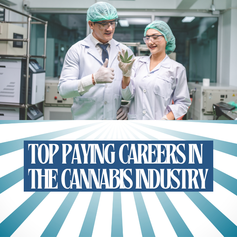 Top Paying Careers in the Cannabis Industry