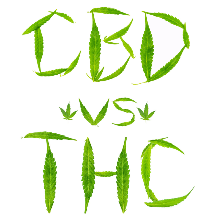 CBD vs. THC: Key Differences and Benefits