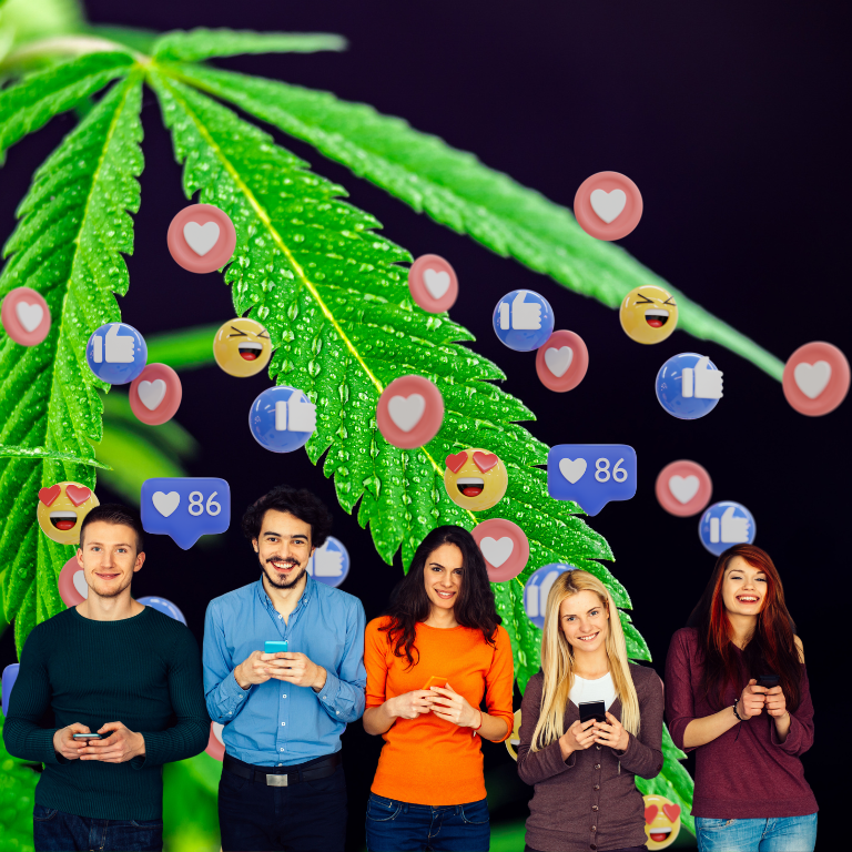 Building Bridges: Networking's Vital Role in the Cannabis Business