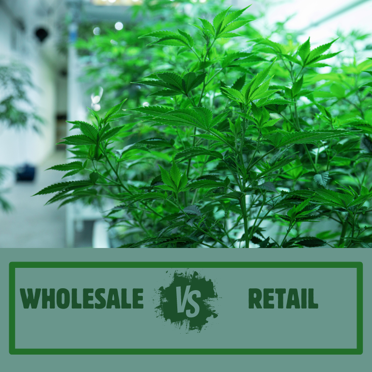 Comparing Cannabis Wholesale and Retail Distribution