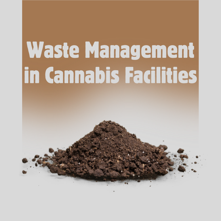 Eco-Friendly Cannabis: The Role of Waste Management