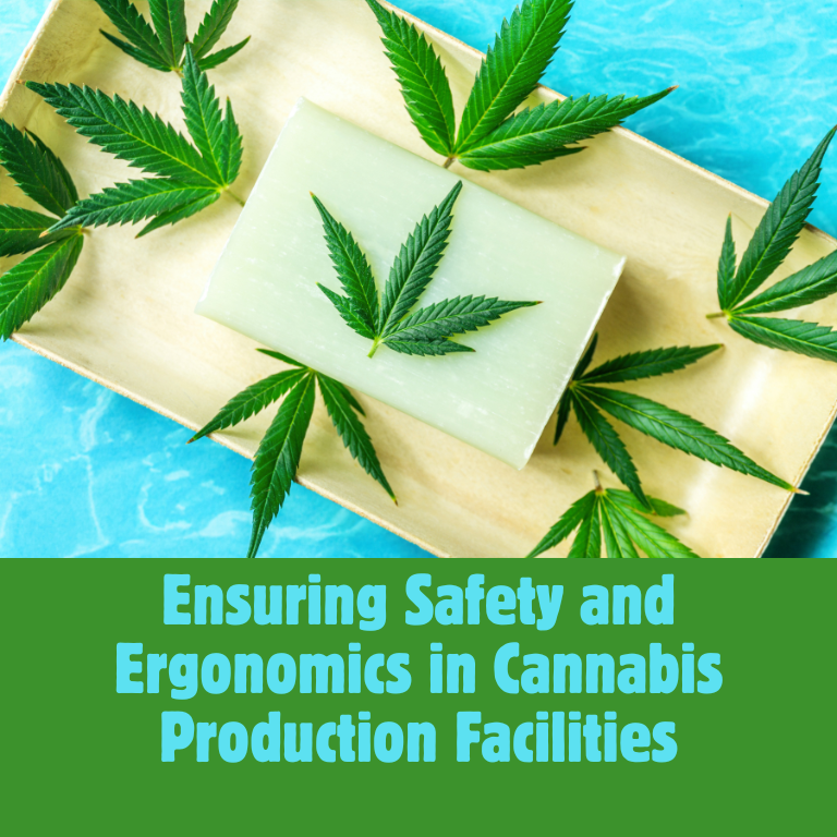 Ensuring Safety and Ergonomics in Cannabis Production Facilities