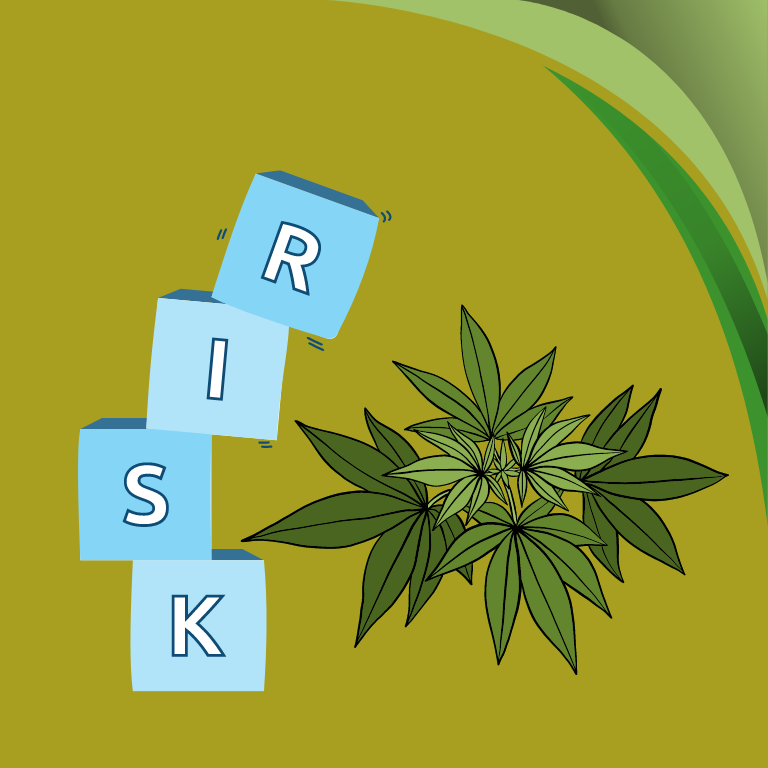 Crafting a Risk Management Plan for Cannabis Facilities