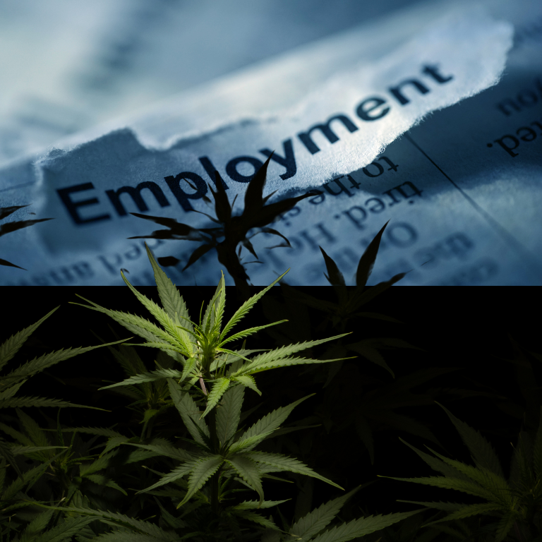 Exploring the Causes of High Employment Claims in Cannabis Firms