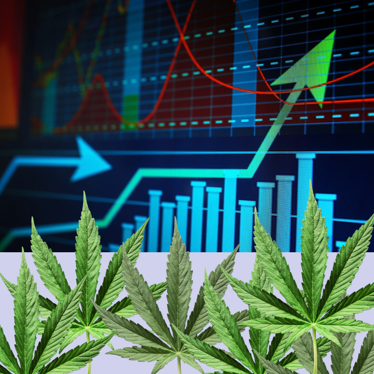 How Cannabis Dispensaries Leverage Data for Marketing