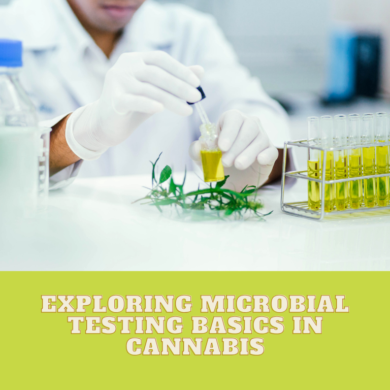 Exploring Microbial Testing Basics in Cannabis