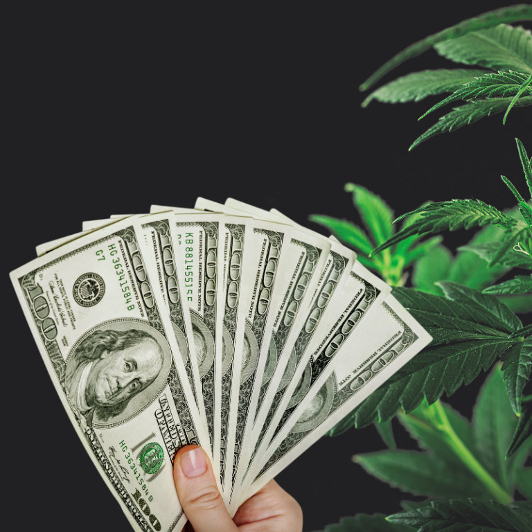 Virginia Fines Hemp Businesses Nearly $11M for Rule Violations