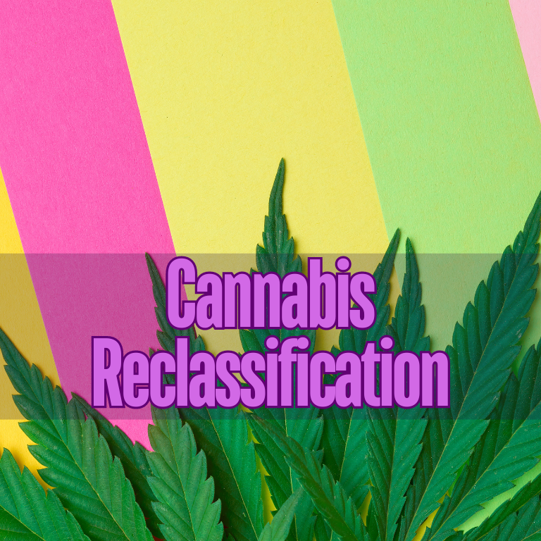 Nurses Association Advocates for Cannabis Reclassification to DEA