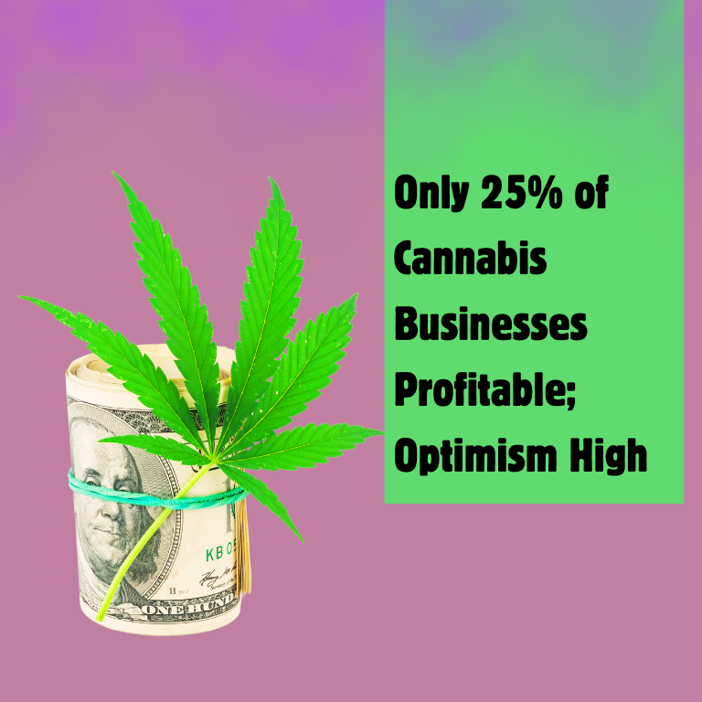 Only 25% of Cannabis Businesses Profitable; Optimism High