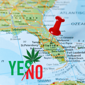 Poll Shows Strong Support for Cannabis Legalization in Florida