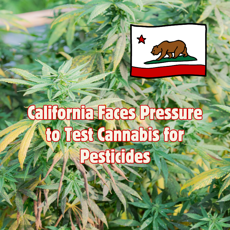 California Faces Pressure to Test Cannabis for Pesticides