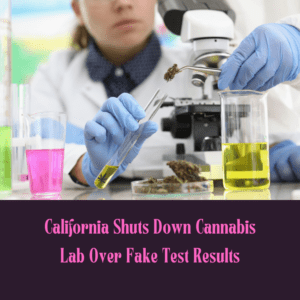 California Shuts Down Cannabis Lab Over Fake Test Results