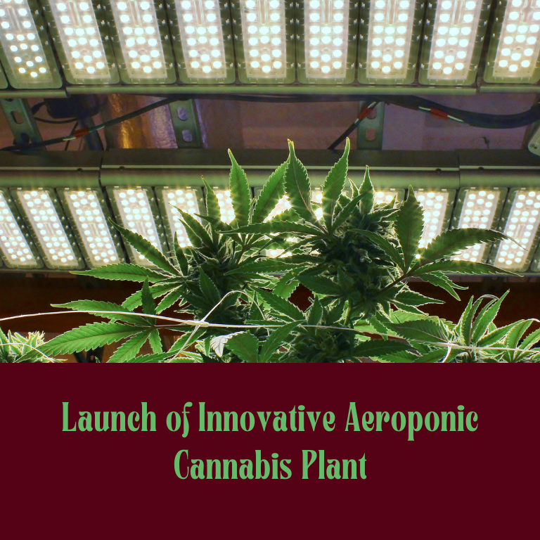 Launch of Innovative Aeroponic Cannabis Plant