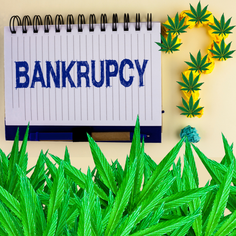 Bankruptcy Risks in the Legal Cannabis Industry