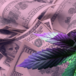 The Cannabis Enigma: Navigating U.S. Tax, Banking, and Insurance