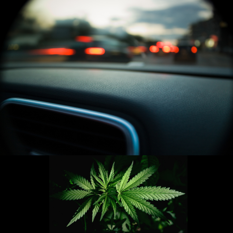 Protecting Your Fleet: Tackling Cannabis-Impaired Driving